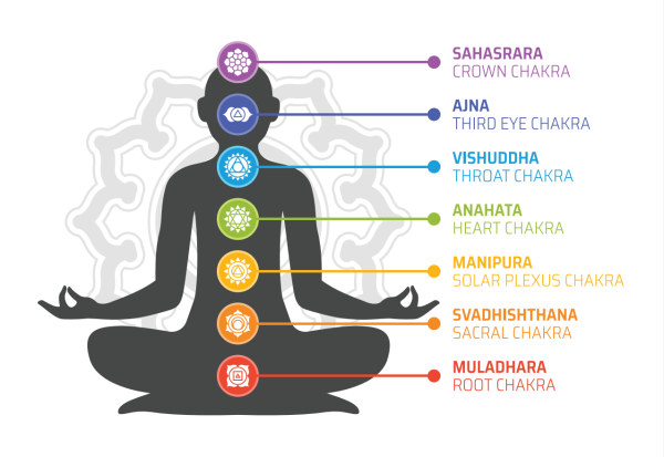 Cosmic Healing Level 1 for five bodies and Chakral Health